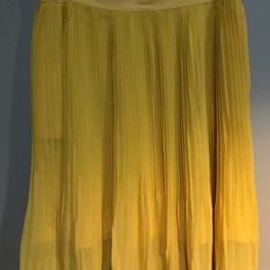 A New Day - Pleated Skirt Knee Length